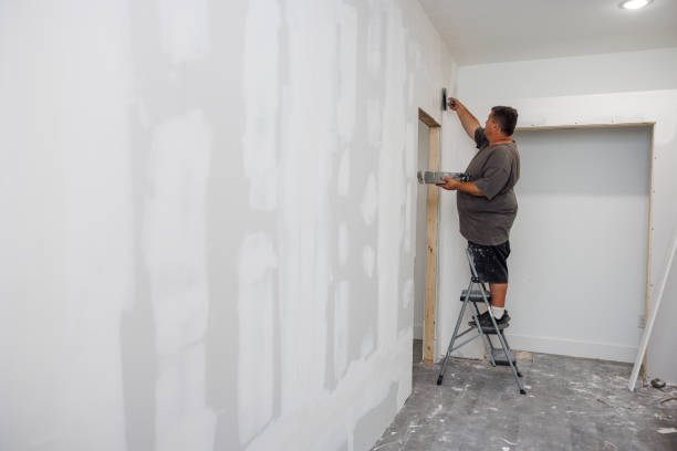 Best Mold Odor Removal Services  in Brooklyn, IN