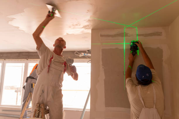 Trusted Brooklyn, IN Mold Removal Experts